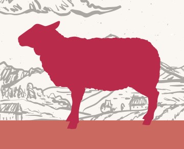 בשר כבש שוק על ירך בית קצבים בלוינסקי 65 תל אביב. כל הבשרים בחיתוך במקום, מהחווה אל האטליז.